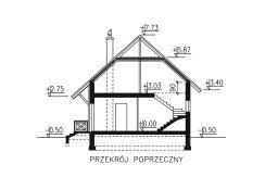 proiect-casa-ieftina-mansarda-169-mp-pret-la-rosu-27040-euro-proiecte-constructie-case-lemn-caramida (2)